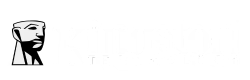 imgi_1_KINGSTONN_250_x_80_px
