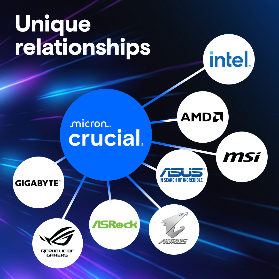 Crucial DDR5 Pro Unique Relationships Gallery Image 03 (EN)